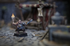 Halfling Witch Hunter